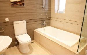 واکسن PMMA / ABS Closestool